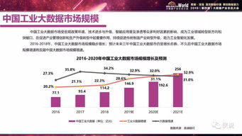 2019年中國工業大數據發展及投資價值研究——聚焦軟件開發